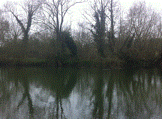 PEG 63 Pictures